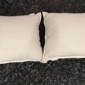 Pottery Barn 16 x 16 throw pillows; set of 2